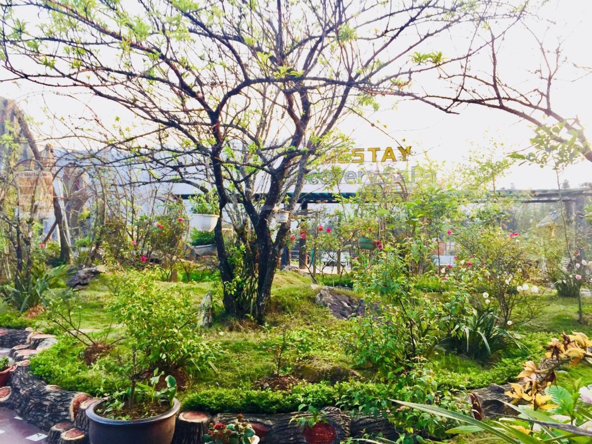 Homestay Discovery Sapa Exteriör bild